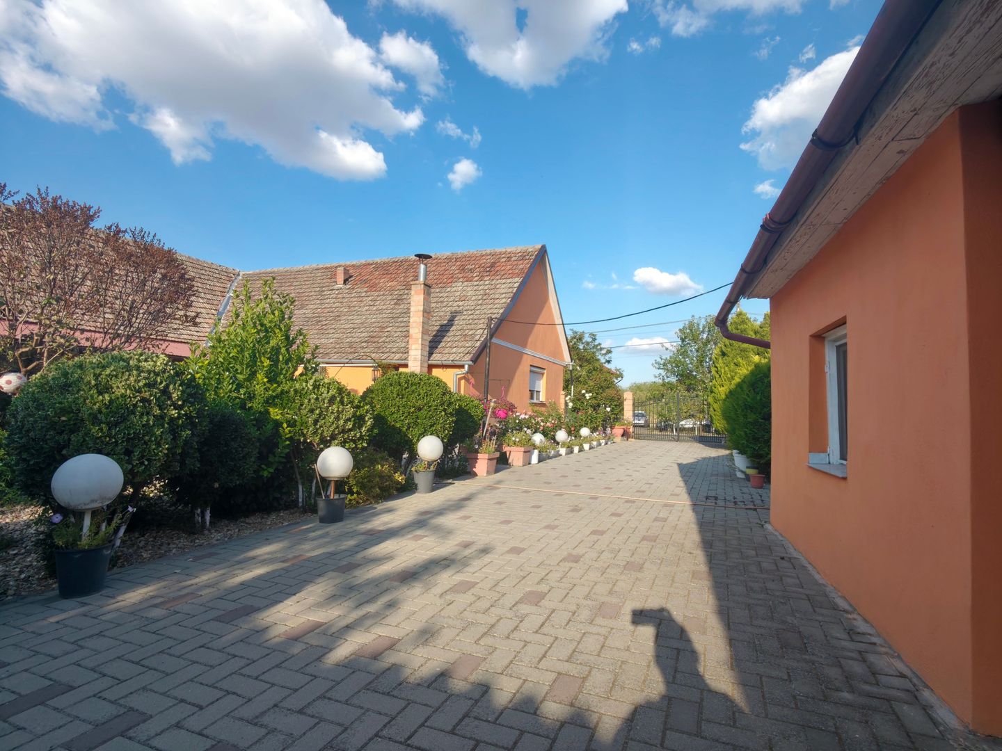 Casa Parter Becicherecu Mic 5 Camere,Vatra Veche,Teren Generos 1600mp,F.s 36 mp - Poză 4