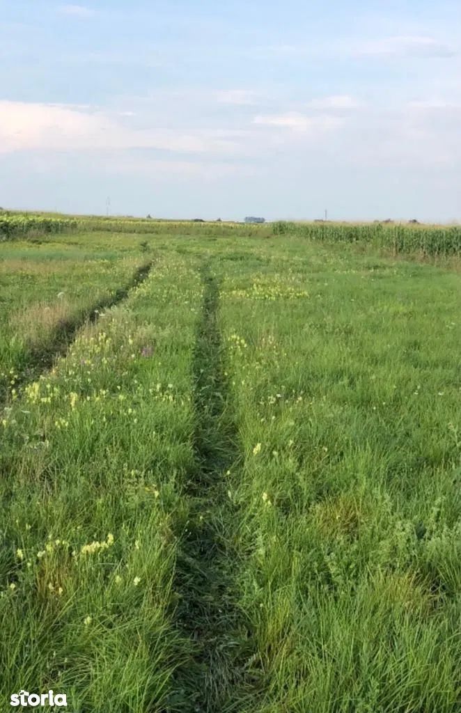 Ag EUROPA vinde teren intravilan 10 ari front la sosea apa curent gaz - Poză 1