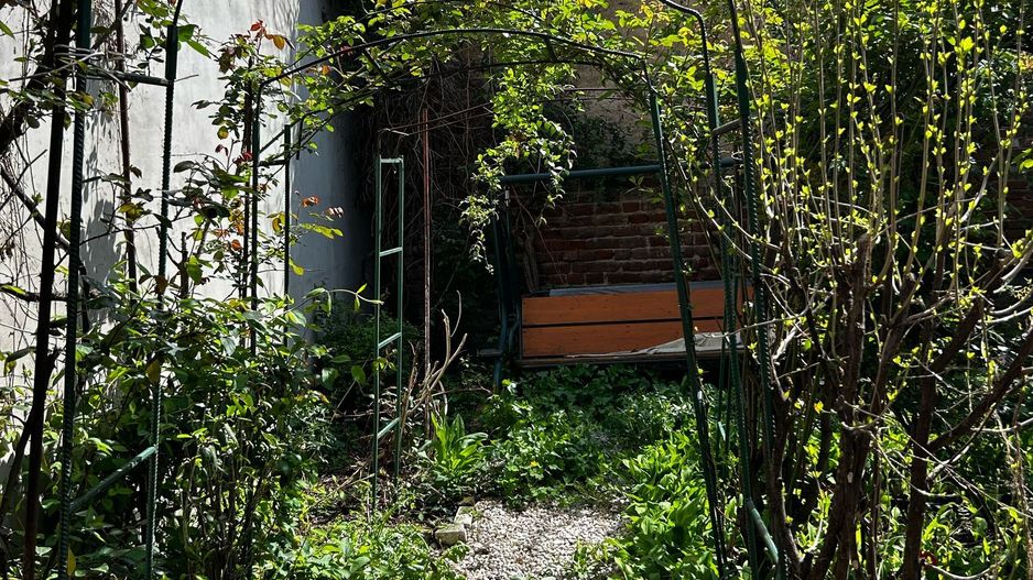 VILA | APARTAMENT | ZONA TURDA | CURTE - Poză 12