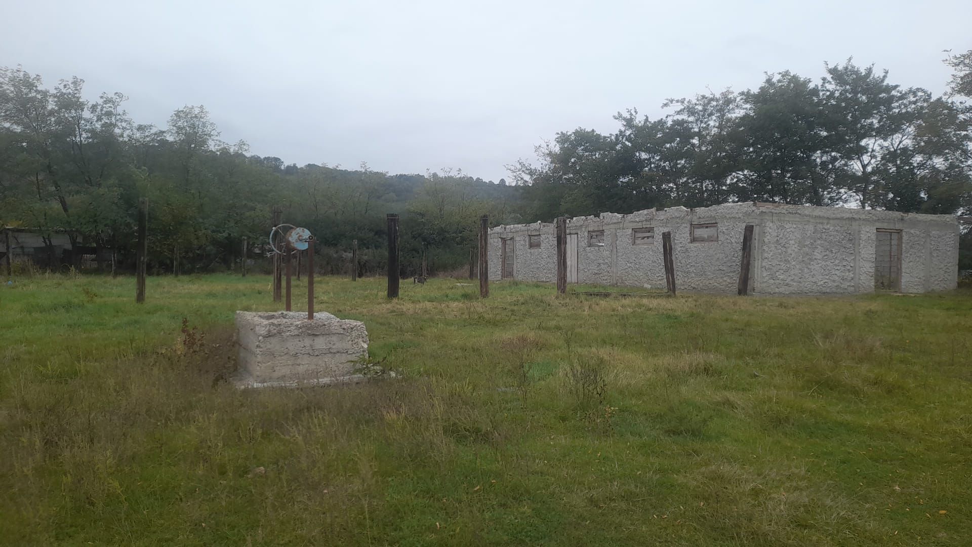 TEREN EXTRAVILAN 7.600 mp, VASLUI - zona REDIU; - Poză 1