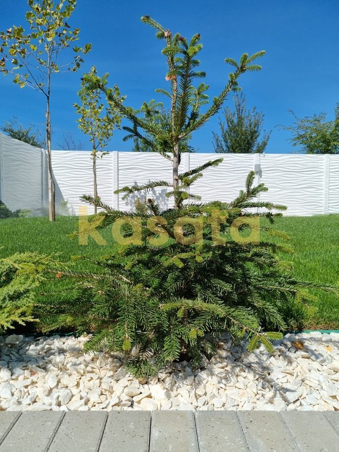 Vila individuală | Proiect nou | 474mp teren | Langa Lacul Morii - Poză 3