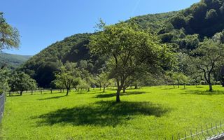 Teren Intravilan | 3050 Mp | Ieșire la Râu | Râul Sadului - Poză 8