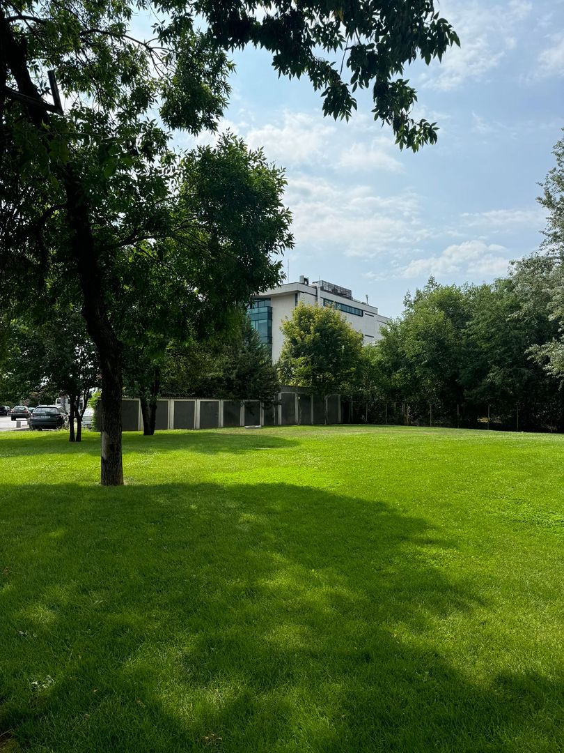 Comercial | Stradal | NOU | 273 m2 | Trafic Intens | - Poză 8