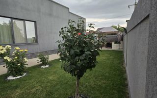 🏡✨ CASĂ PREMIUM  ȘENDRENI – 305 MP LOCUIBILI, TEREN 1.000 mp - Poză 10