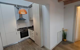 Apartament “de revista”, la casa in Elisabetin- zona consulatelor. - Poză 17