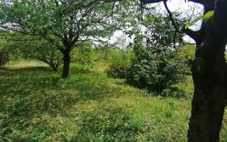 Casa 3 camere + Anexe, garaj, teren 2500 m2, an 1974, CT, Magurele, PH - Poză 12