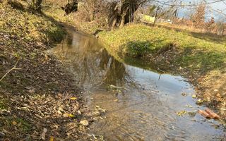 Teren cu potențial turistic I Cârțișoara I 1800 MP - Poză 4