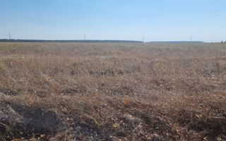 Oportunitate de investitie | Teren intravilan de vanzare | 5000 mp - Poză 8