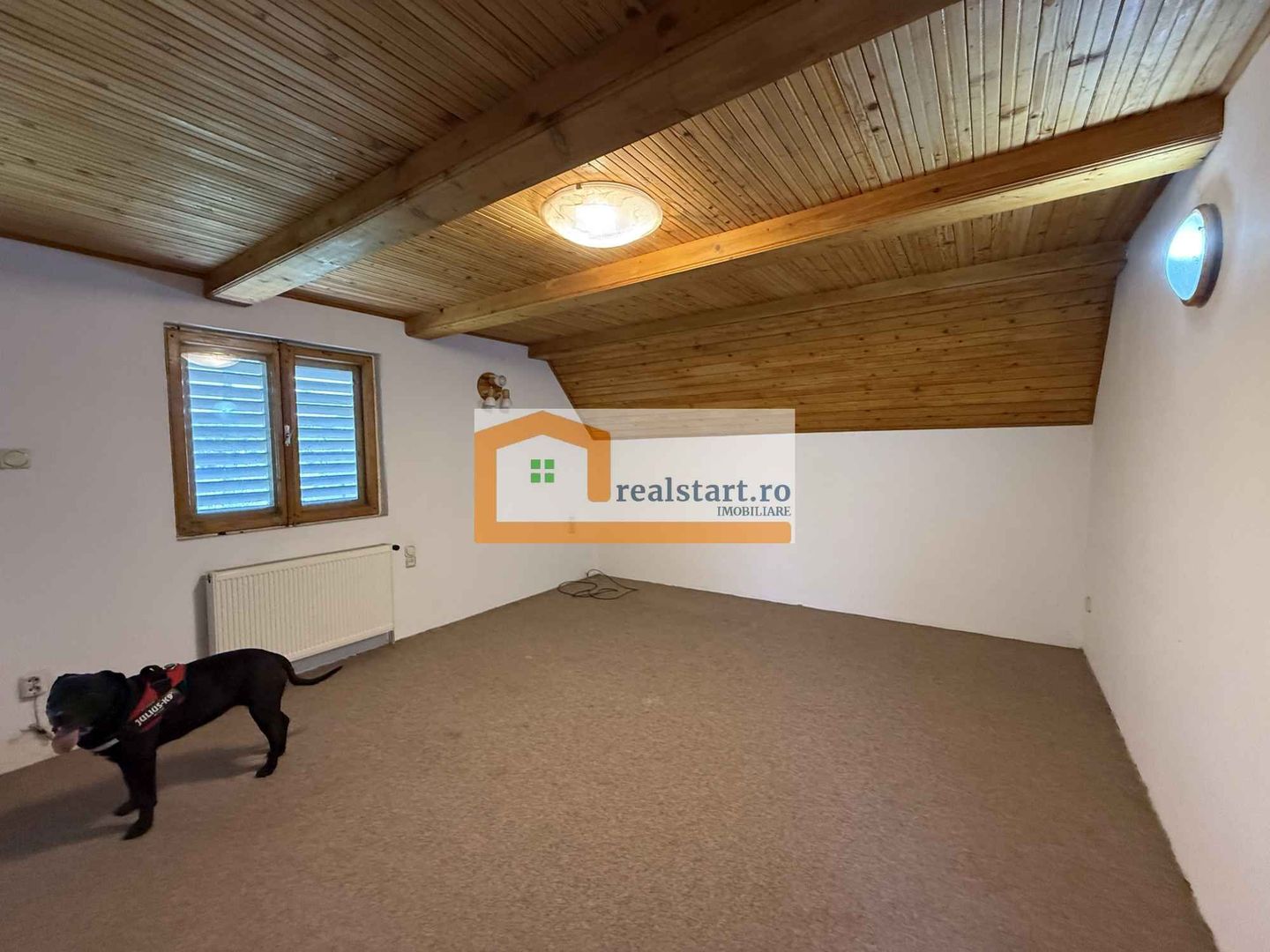 Investitie Vila Snagov D+P+M, nefinalizata, teren 791, intre lac si padure - Poză 12