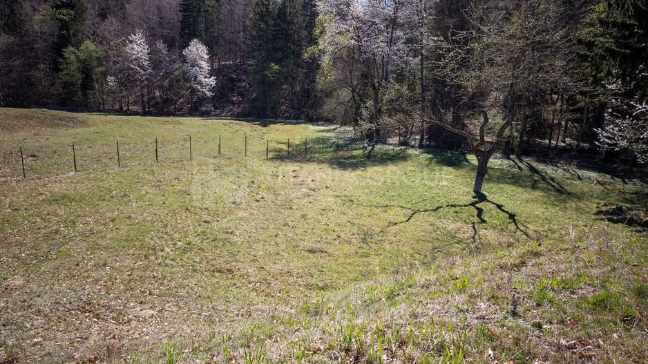 Teren intravilan, pretabil pentru casa de vacanta, 2000 mp - Poză 4