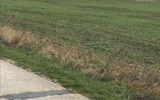 CORBU spre plaja Corbu, teren intravilan 965 mp. ideal constructii - Poză 3