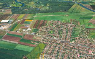 Teren pentru investiție în Vladimirescu, Arad – 20.000 mp - Poză 3