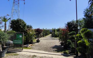 Teren intravilan de vanzare Biharia-Bihor - Poză 1