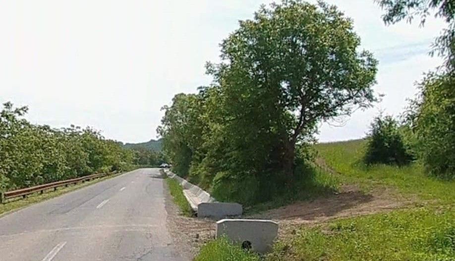 Teren intravilan -Sânișor- 8700 mp - Poză 1