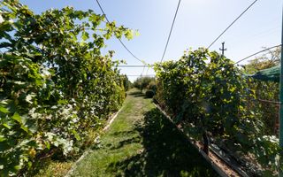 Casa visurilor cu 4000 mp livada roditoare si gradina Darmanesti-Arges - Poză 18
