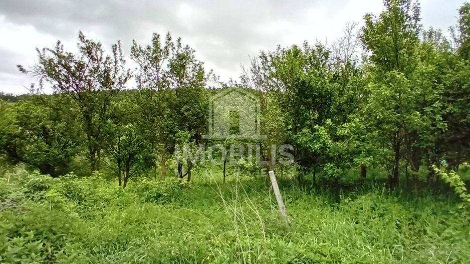 Teren intravilan | Budiu Mic | 994 mp - Poză 3