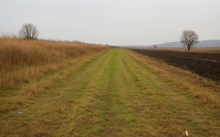 Teren agricol | de vânzare | 5000 mp² | comuna Satu Mare - Poză 2