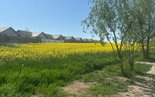 Teren intravilan 26.300 mp Saftica Balotesti-  PUZ în lucru - Poză 17