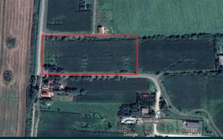 Vand teren extravilan 8000 mp - Poză 3