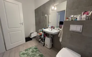 Curte proprie in CF. Mobilat si utilat . 96mp suprafata utila - Poză 18