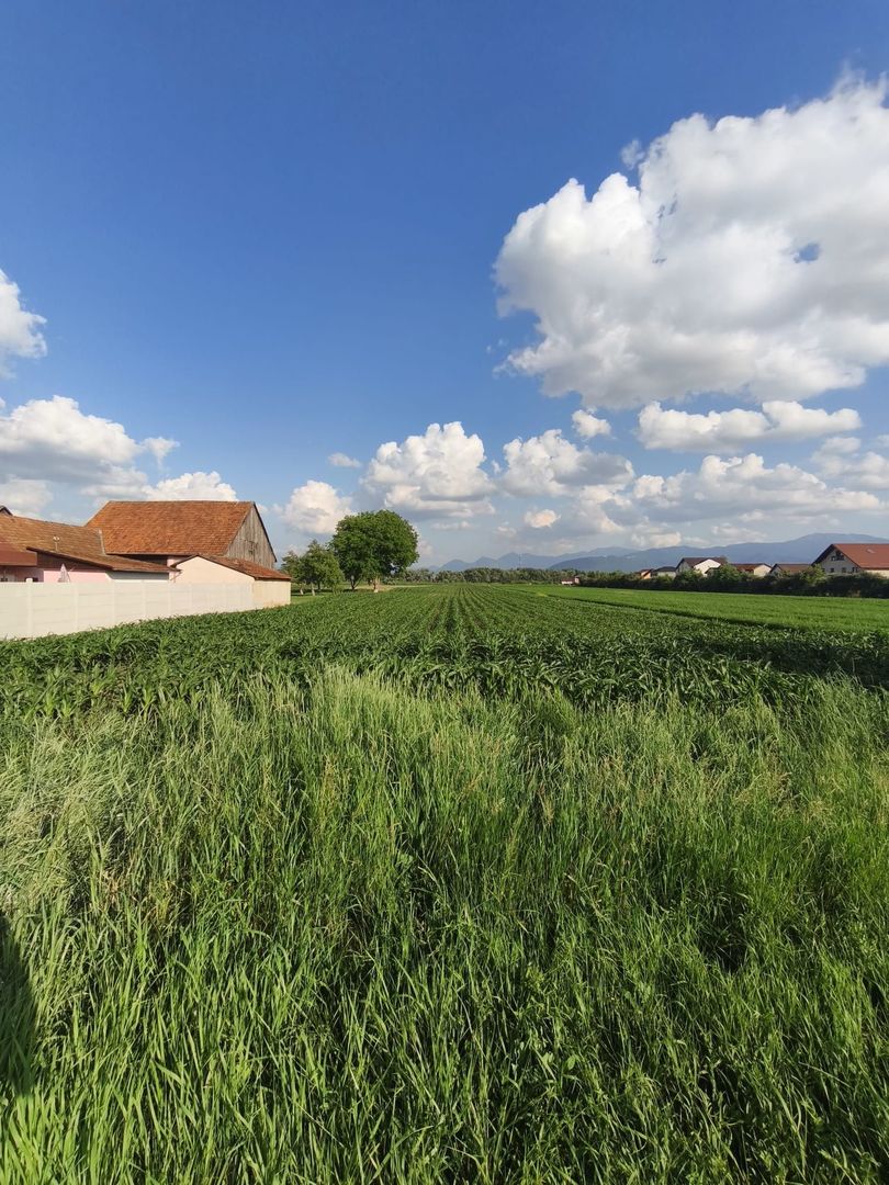 teren intravilan 700mp str. Fagurului, Stupini - Poză 5