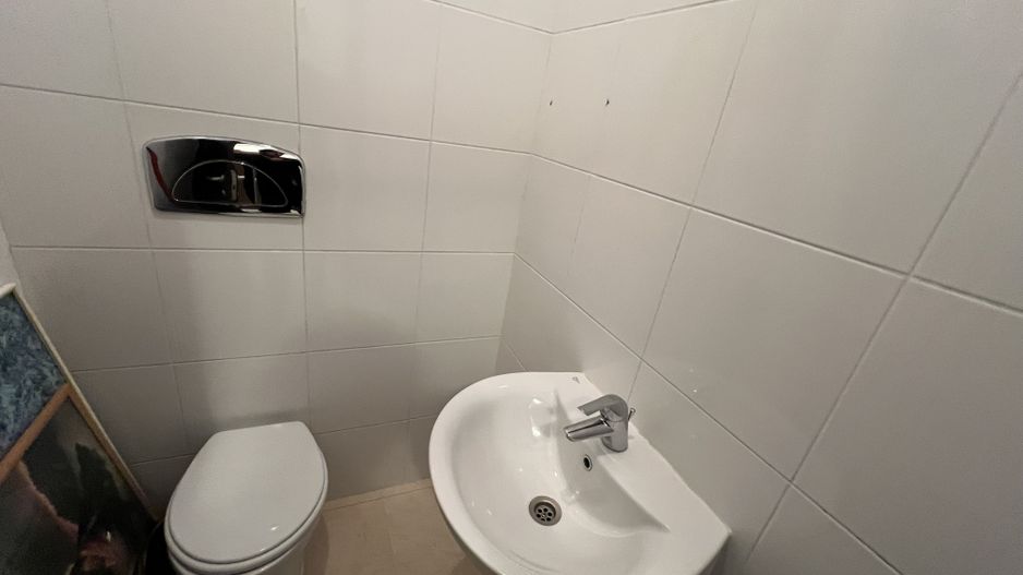 Un refugiu luminos în inima verde a Iancu Nicolae - Poză 6