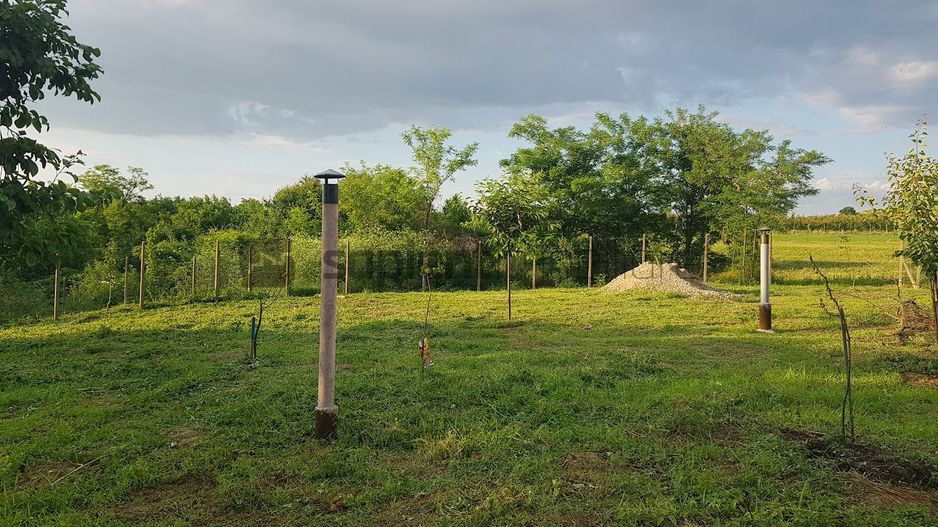 SAPIENT/TEREN INTRAVILAN 600 MP CU ANEXE ȘI PIVNITE - EPISCOPIA - Poză 11