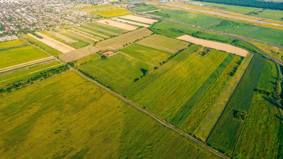 Teren de 10.000 mp situat în Bujac, Arad - Poză 3