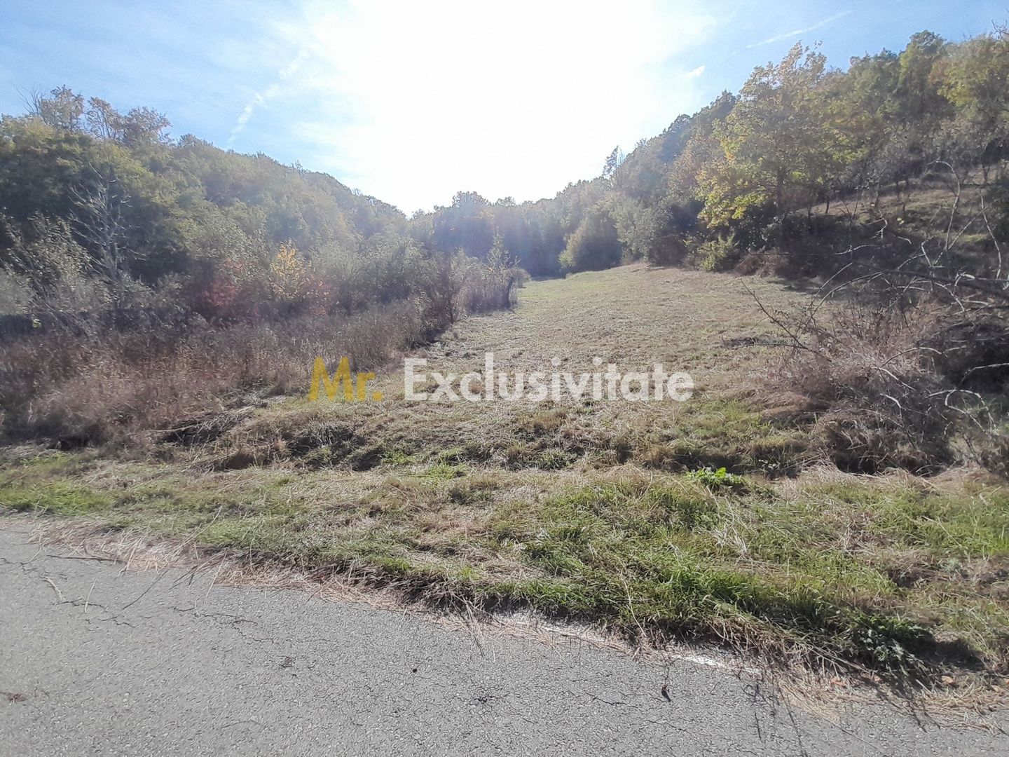 TEREN DE VANZARE IN BABANA, ARGES,  LANGA PADURE - Poză 5