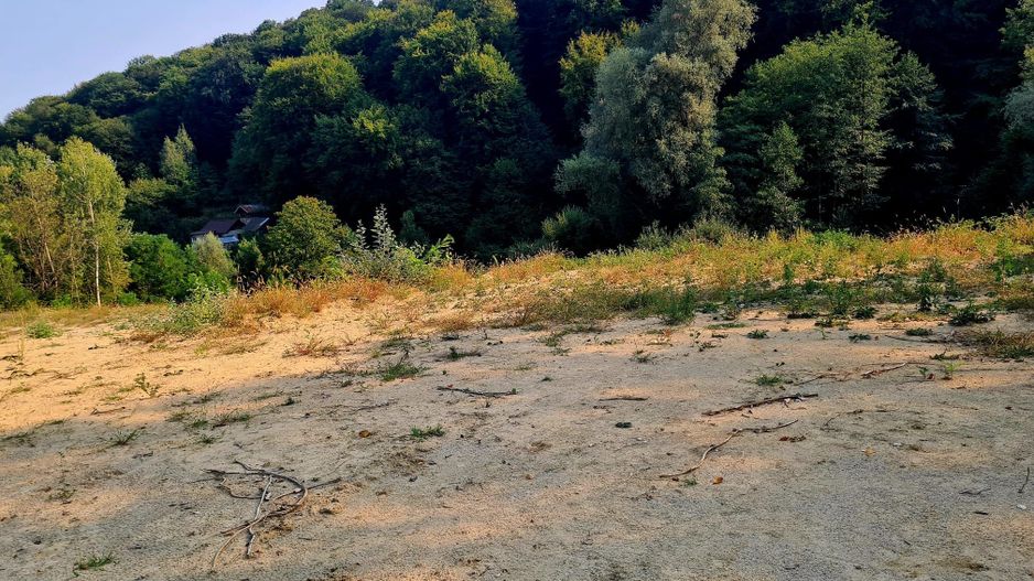Teren intravilan de vanzare - Bujoreni - Poză 9