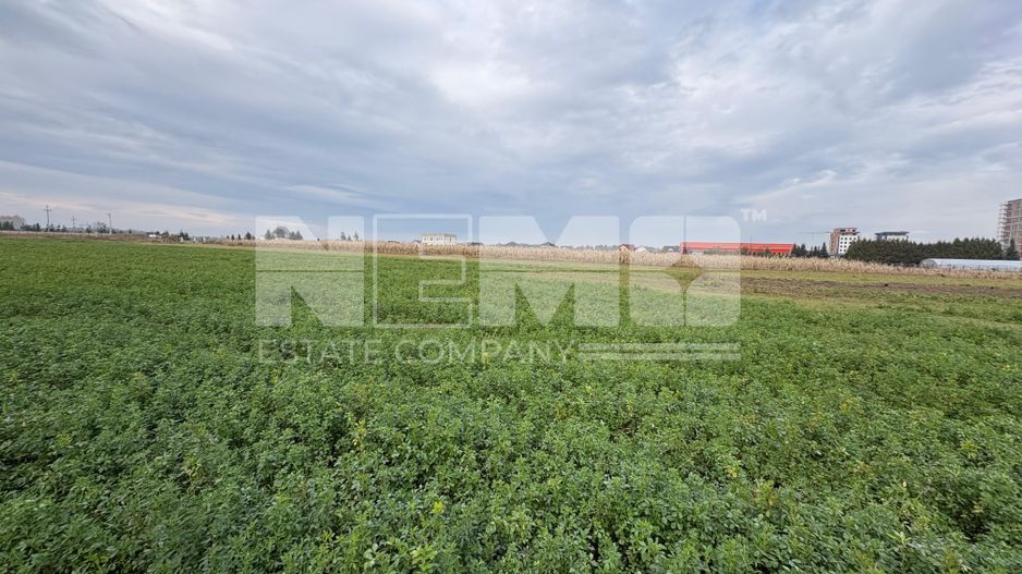 Teren de vânzare | 67 ari | Intravilan | Rădăuți - Poză 4