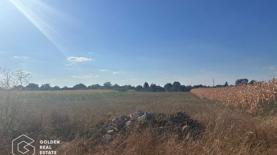 Teren intravilan, Zimandul Nou, posibilitate construire casa, 2200 mp - Poză 1