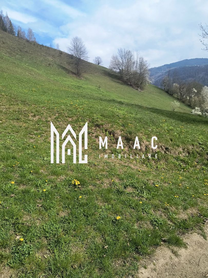 Un colt de rai in Apuseni I viața ca pe vremuri - Poză 10