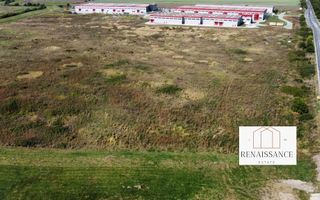 Teren PUZ Aprobat Pretabil Hale | 55.000mp - Park Industrial Sanandrei - Poză 5