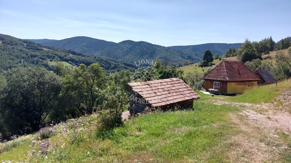 Teren extravilan investiție Rachitele Cluj - 31.555 mp - Poză 3