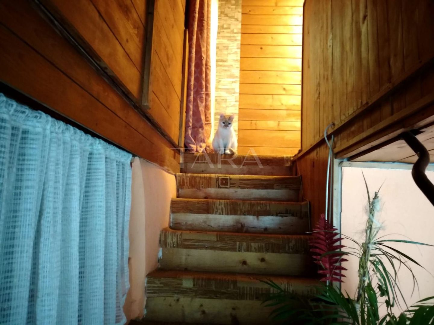 Apartament cu 3 camere de vânzare în zona ultracentrală - Poză 5