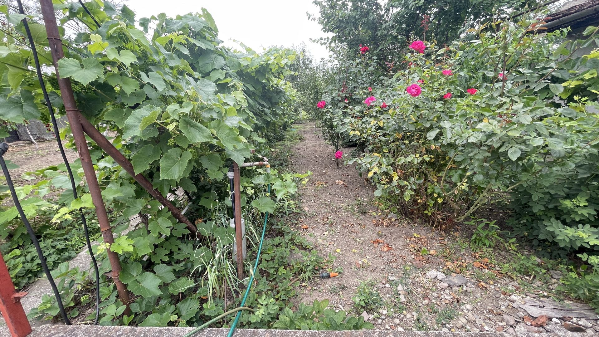 Casa cu teren de 915 mp și front de 20 ml - Poză 1