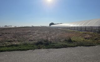 Teren 7 euro mp str asfaltata langa padure Colibasi Campurelu - Poză 5