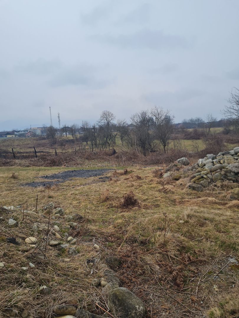 Teren intravilan 4400 MP - Poză 3