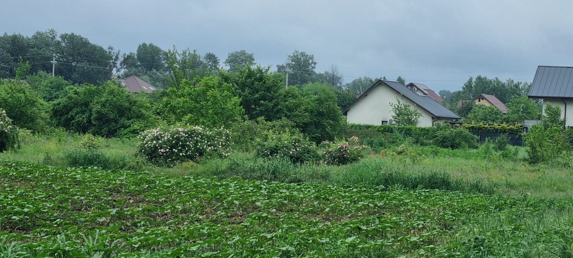 Teren Intravilan 615mp-Deschidere Generoasa ,Pozitie Excelenta - Poză 5