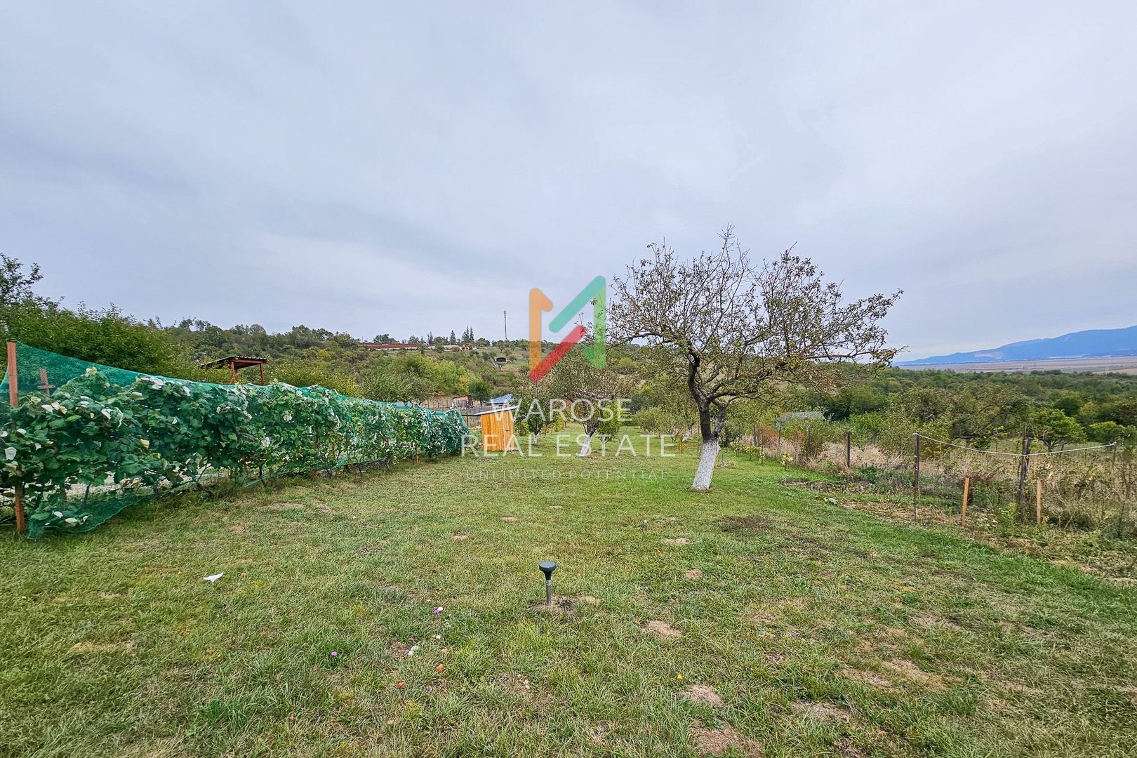 Teren Investitie- 1730 mp-Cabana construita 60 mp - Poză 15