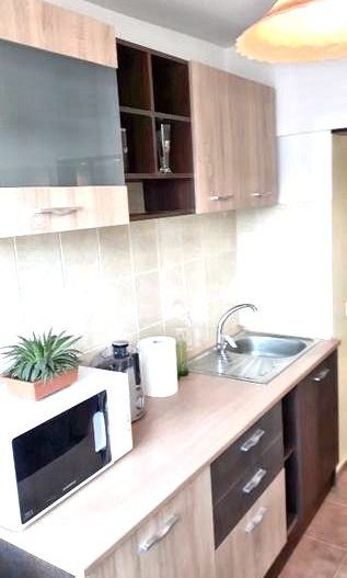 🌳 Închiriez Apartament cu 2 camere, Câmpia Libertății, renovat, aproape - Poză 6