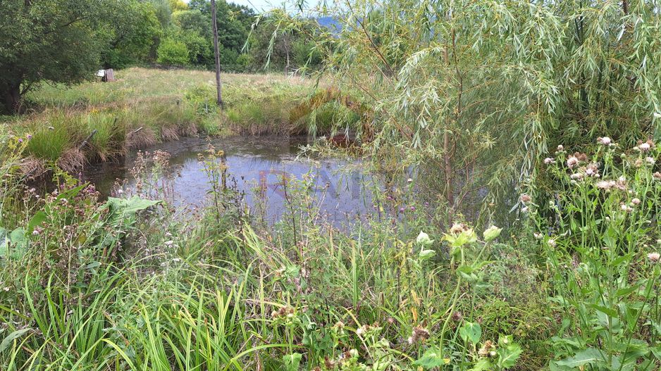 VANZARE ANSAMBLU CASUTE BRADULET ARGES - Poză 21