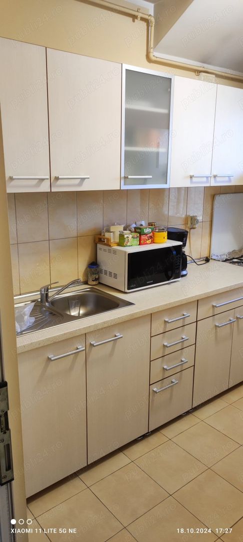 Apartament cu 1 camera Sagului-Elisabetin - Poză 10