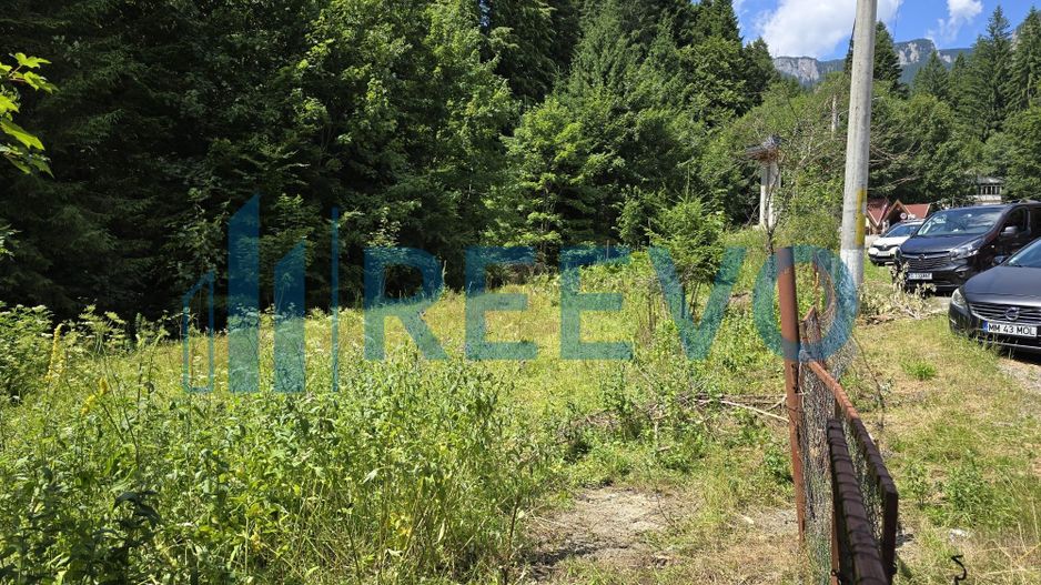 Teren Izvorul Muntelui, Bicaz, la baza traseelor de la Vârful Toaca - Poză 4