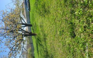 Teren de vinzare 3600mp - Poză 1