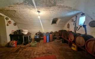 Casa 6 camere I 250MPU | 867MP Teren | Turnisor - Poză 9