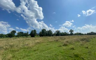 Teren de vanzare in  Tohanu Nou-Sohodol 6200 mp - Poză 3