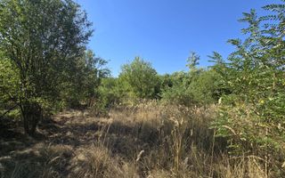 Terenuri intravilane de vânzare| Ciolpani |Acces rapid DN1 & A0 - Poză 5