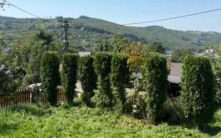 Casă + anexă 280 mp și teren cu dublă deschidere la strada 1500 mp - Poză 54